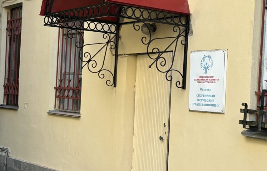 Козырьки